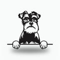 Schnauzer Dog Lover Gift Metal Dog Sign — front view on white background