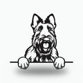 Scottish Terrier Dog Lover Gift Metal Dog Sign — front view on white background