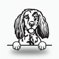 English Setter Dog Lover Gift Metal Dog Sign — front view on white background