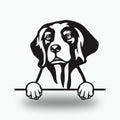Irish Red and White Setter Dog Lover Gift Metal Dog Sign — front view on white background