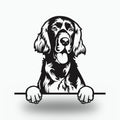 Irish Setter Dog Lover Gift Metal Dog Sign — front view on white background