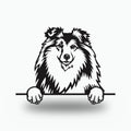 Shetland Sheepdog Dog Lover Gift Metal Dog Sign — front view on white background