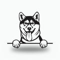 Shiba Inu Dog Lover Gift Metal Dog Sign — front view on white background