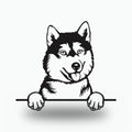 Siberian Husky Dog Lover Gift Metal Dog Sign — front view on white background