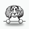 Boykin Spaniel Dog Lover Gift Metal Dog Sign — front view on white background