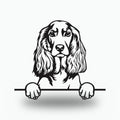 English Cocker Spaniel Dog Lover Gift Metal Dog Sign — front view on white background