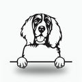 English Springer Spaniel Dog Lover Gift Metal Dog Sign — front view on white background