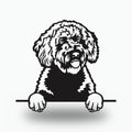 Spanish Water Dog Lover Gift Metal Dog Sign — front view on white background