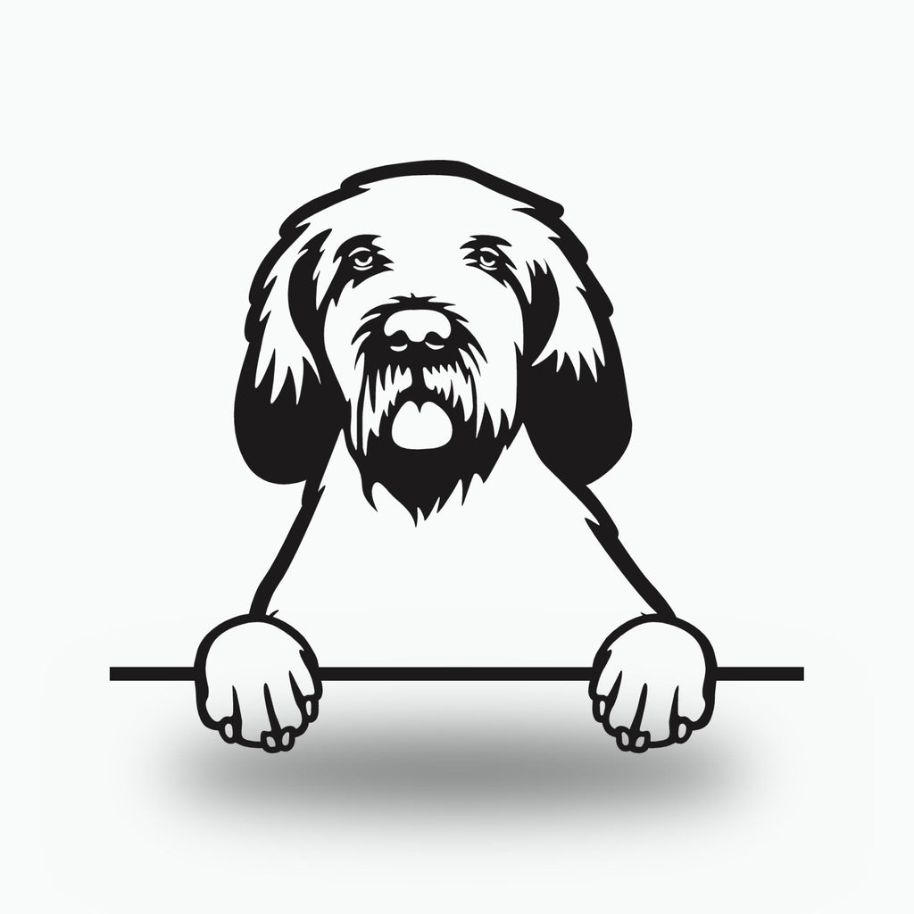 Spinone Italiano Dog Lover Gift Metal Dog Sign — front view on white background