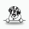 St. Bernard Dog Lover Gift Metal Dog Sign — front view on white background