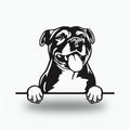 Staffordshire Bull Terrier Dog Lover Gift Metal Dog Sign — front view on white background