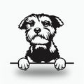 Standard Schnauzer Dog Lover Gift Metal Dog Sign — front view on white background
