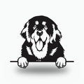 Tibetan Mastiff Dog Lover Gift Metal Dog Sign — front view on white background