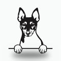 Toy Fox Terrier Dog Lover Gift Metal Dog Sign — front view on white background