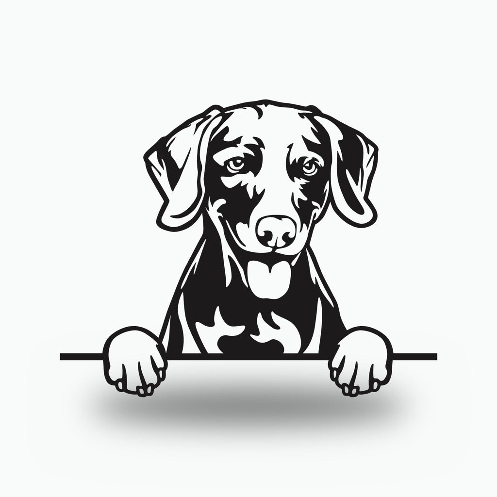 Weimaraner Dog Lover Gift Metal Dog Sign — front view on white background