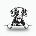 Weimaraner Dog Lover Gift Metal Dog Sign — front view on white background
