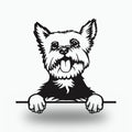Yorkie Dog Lover Gift Metal Dog Sign — front view on white background
