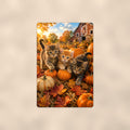 Pumpkin Patch Kittens aluminum metal sign 8" x 12" - front view on warm wall