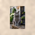 British Shorthair on the Doorstep aluminum metal sign 8" x 12" - front view on warm wall