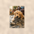 Golden Puppy in the Sneaker aluminum metal sign 8" x 12" - front view on warm wall