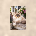 Ragdoll on the Porch Bench aluminum metal sign 8" x 12" - front view on warm wall