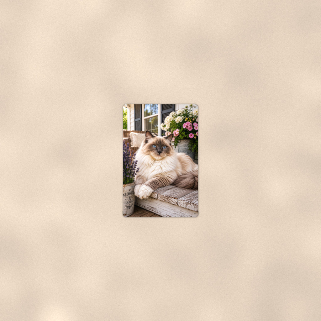 Ragdoll on the Porch Bench aluminum metal sign 8" x 12" - room view on warm wall