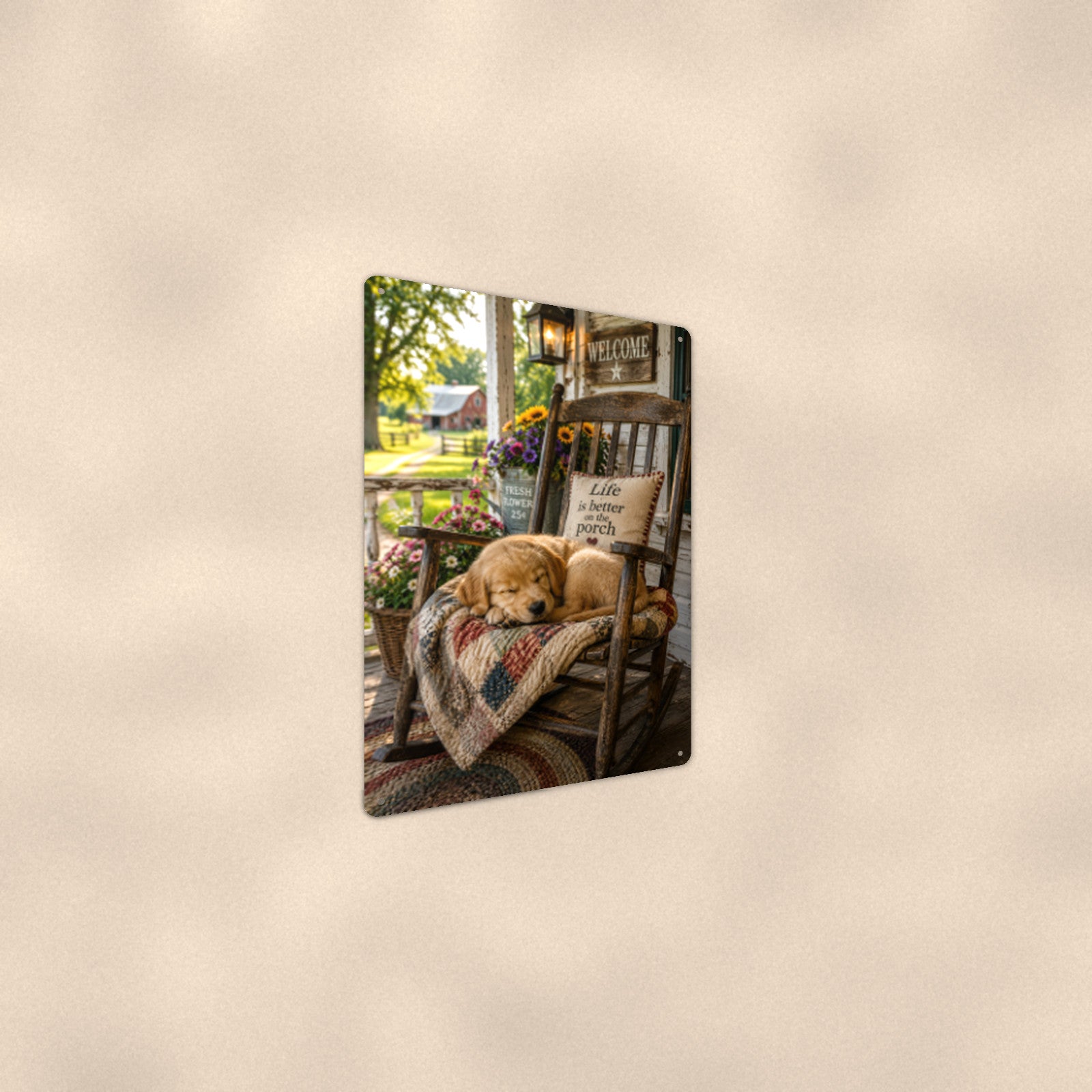 Puppy Napping in the Rocking Chair aluminum metal sign 8" x 12" - angled wall view from a wider angle