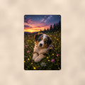 Aussie Puppy in the Firefly Meadow aluminum metal sign 8" x 12" - front view on warm wall