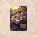 Lavender Dreams Kitten aluminum metal sign 8" x 12" - front view on warm wall
