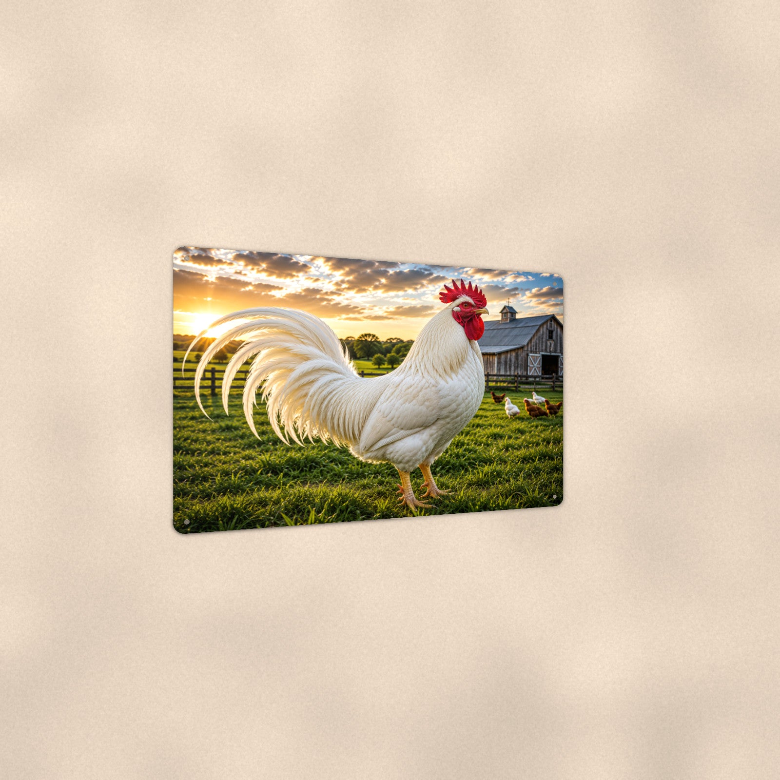 White Rooster on Green Pasture aluminum metal sign 12" x 8" - angled view showing glossy finish