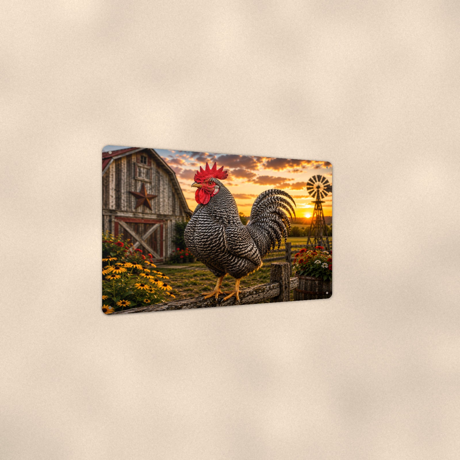 Barred Rock Rooster at the Barn Star aluminum metal sign 12" x 8" - angled view showing glossy finish