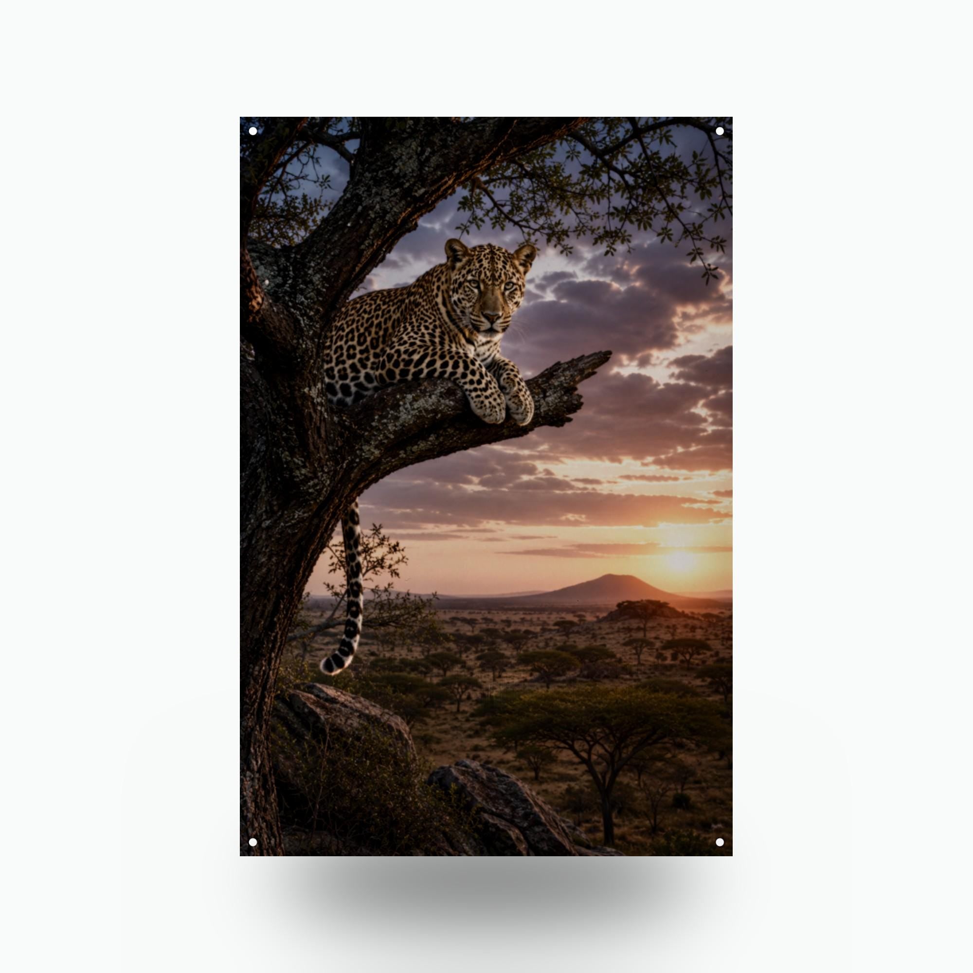 Leopard Tree Sunset Leopard Metal Sign Aluminum Sign — front view on white background