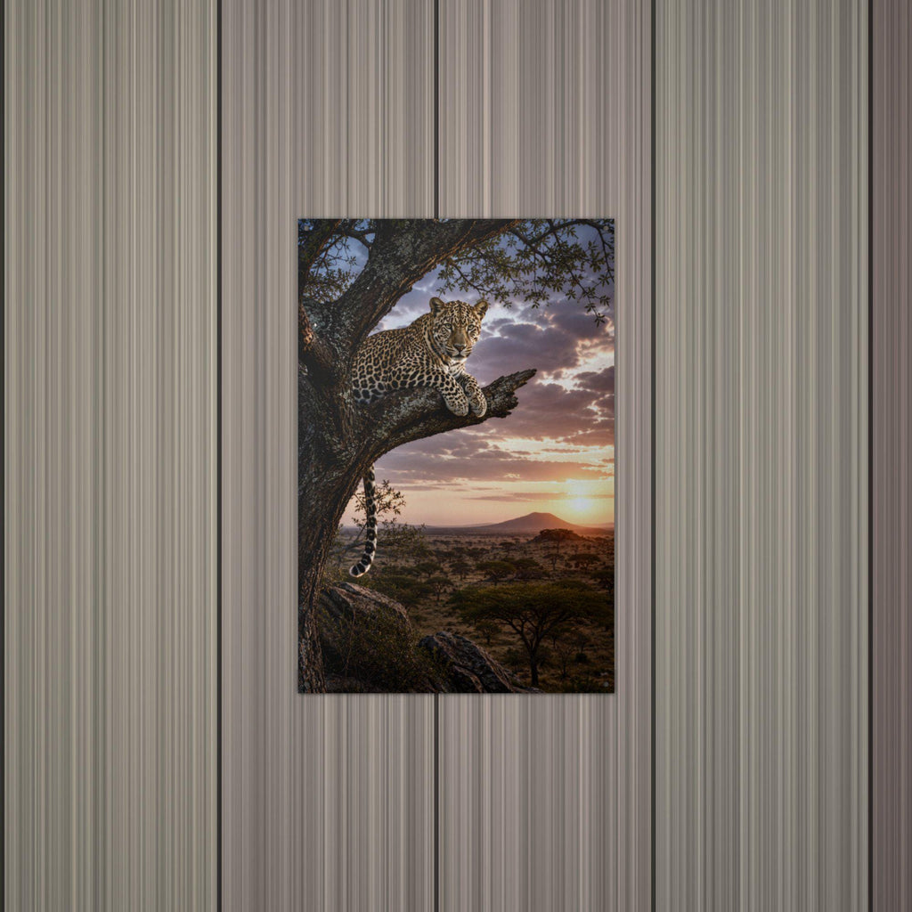 Leopard Tree Sunset Leopard Metal Sign Aluminum Sign — alternate angle