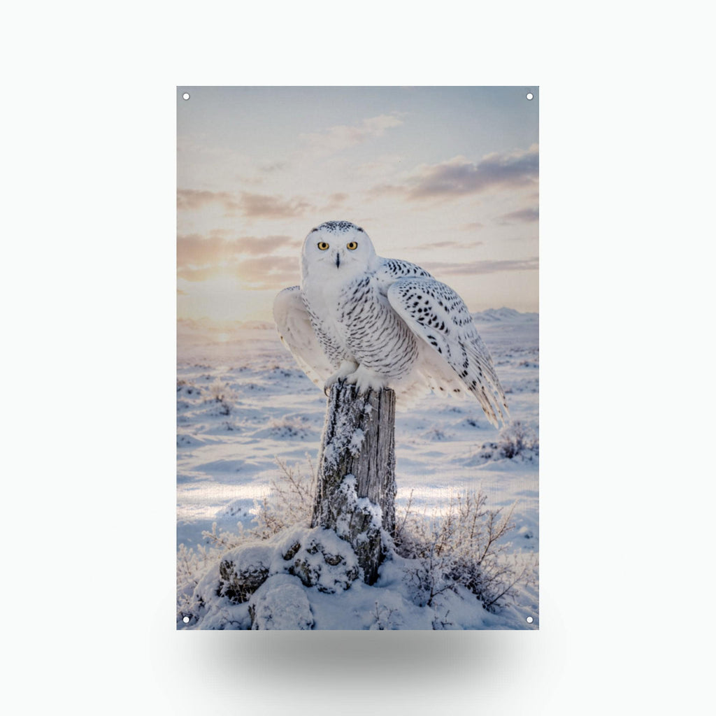 Snowy Owl Sunset Owl Metal Sign Aluminum Sign — front view on white background