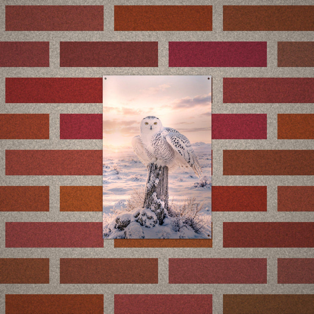 Snowy Owl Sunset Owl Metal Sign Aluminum Sign — alternate angle