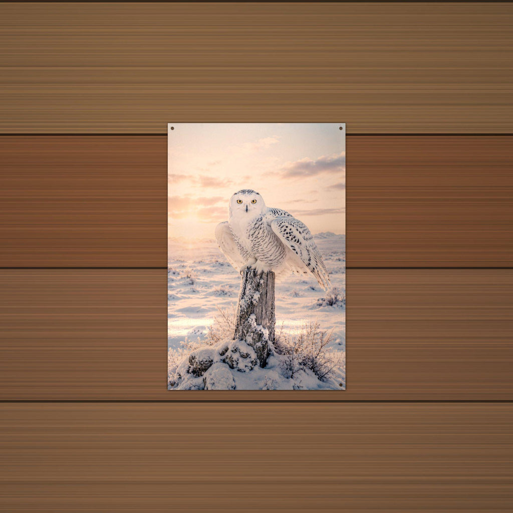 Snowy Owl Sunset Owl Metal Sign Aluminum Sign — alternate angle