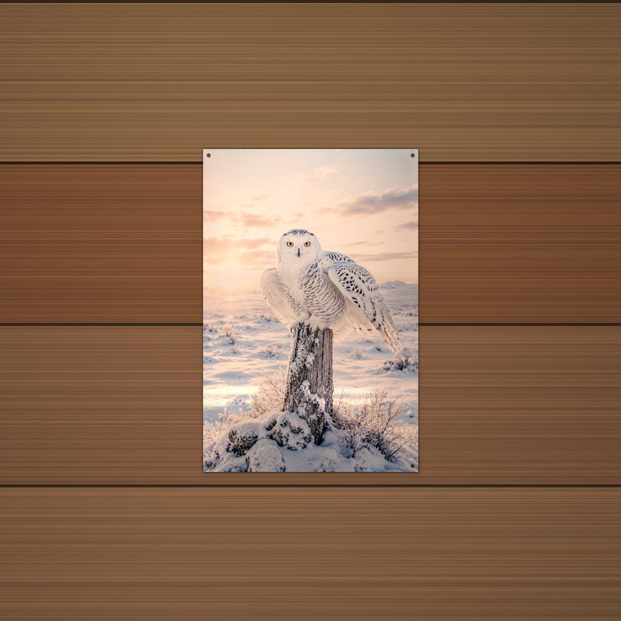 Snowy Owl Sunset Owl Metal Sign Aluminum Sign — alternate angle