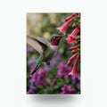 Hummingbird Red Blooms Hummingbird Metal Sign Aluminum Sign — front view on white background
