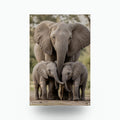 Elephant Family Elephant Metal Sign Aluminum Sign — front view on white background