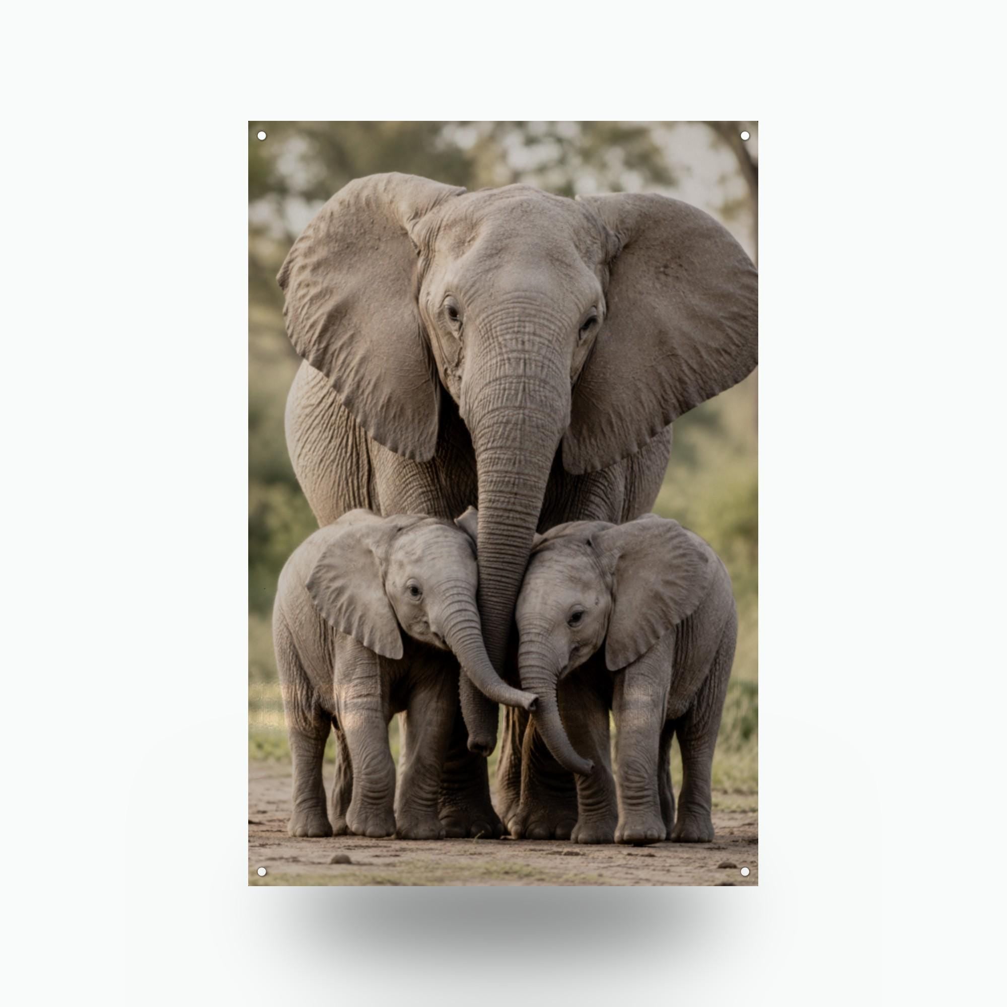 Elephant Family Elephant Metal Sign Aluminum Sign — front view on white background