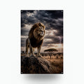 Storm Lion Lion Metal Sign Aluminum Sign — front view on white background