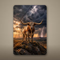 Storm Longhorn Aluminum Sign Aluminum Sign — front view on white background
