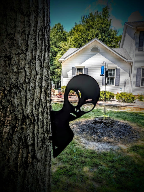 Alien Shelf Bracket Metal Shelf Bracket — shown on a rustic wall