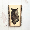 Laser Engraved Owl Wood Art Wood Sign — front view on white background