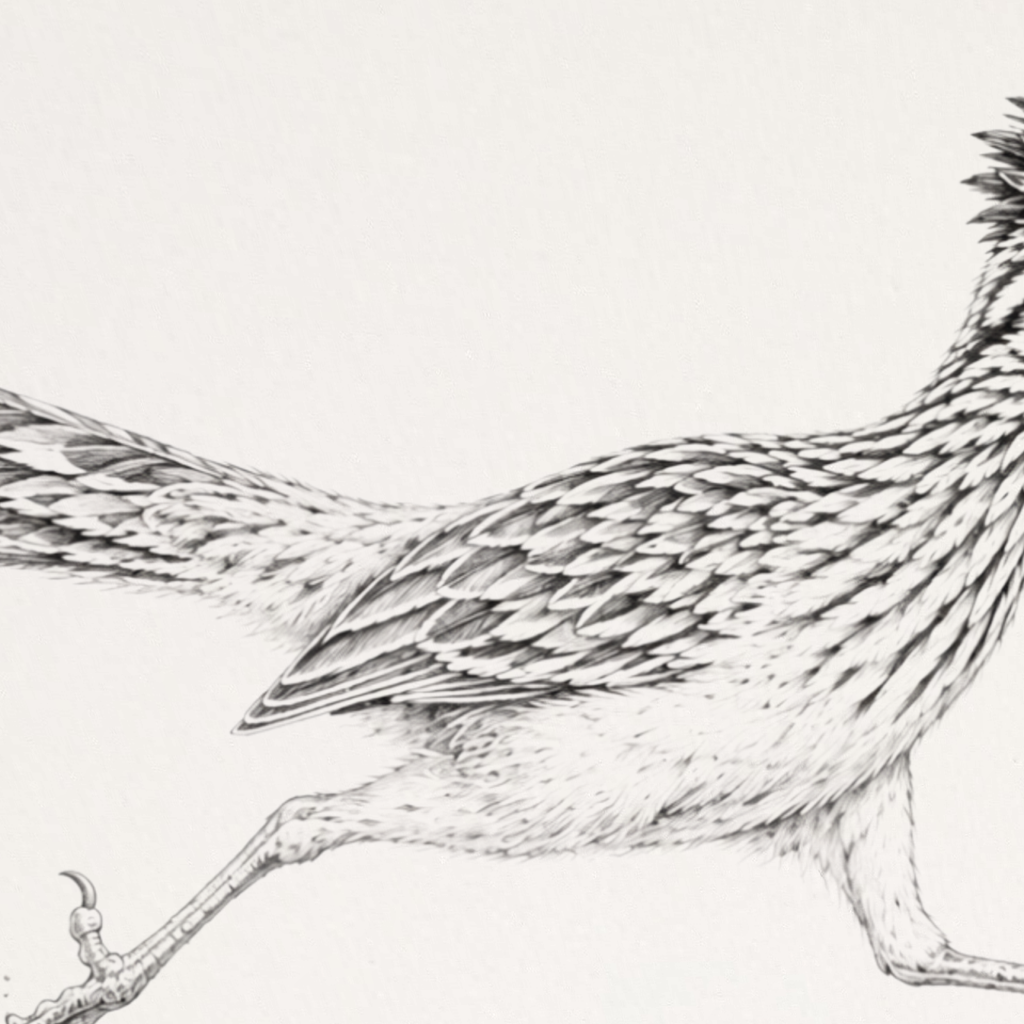 Running Roadrunner Metal Wall Art, Ink Color Splash | 12x8 Aluminum | Desert Southwest Decor, Wildlife Gift