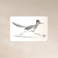 Running Roadrunner Metal Wall Art, Black & White Sketch | 12x8 Aluminum | Desert Southwest Decor, Wildlife Gift