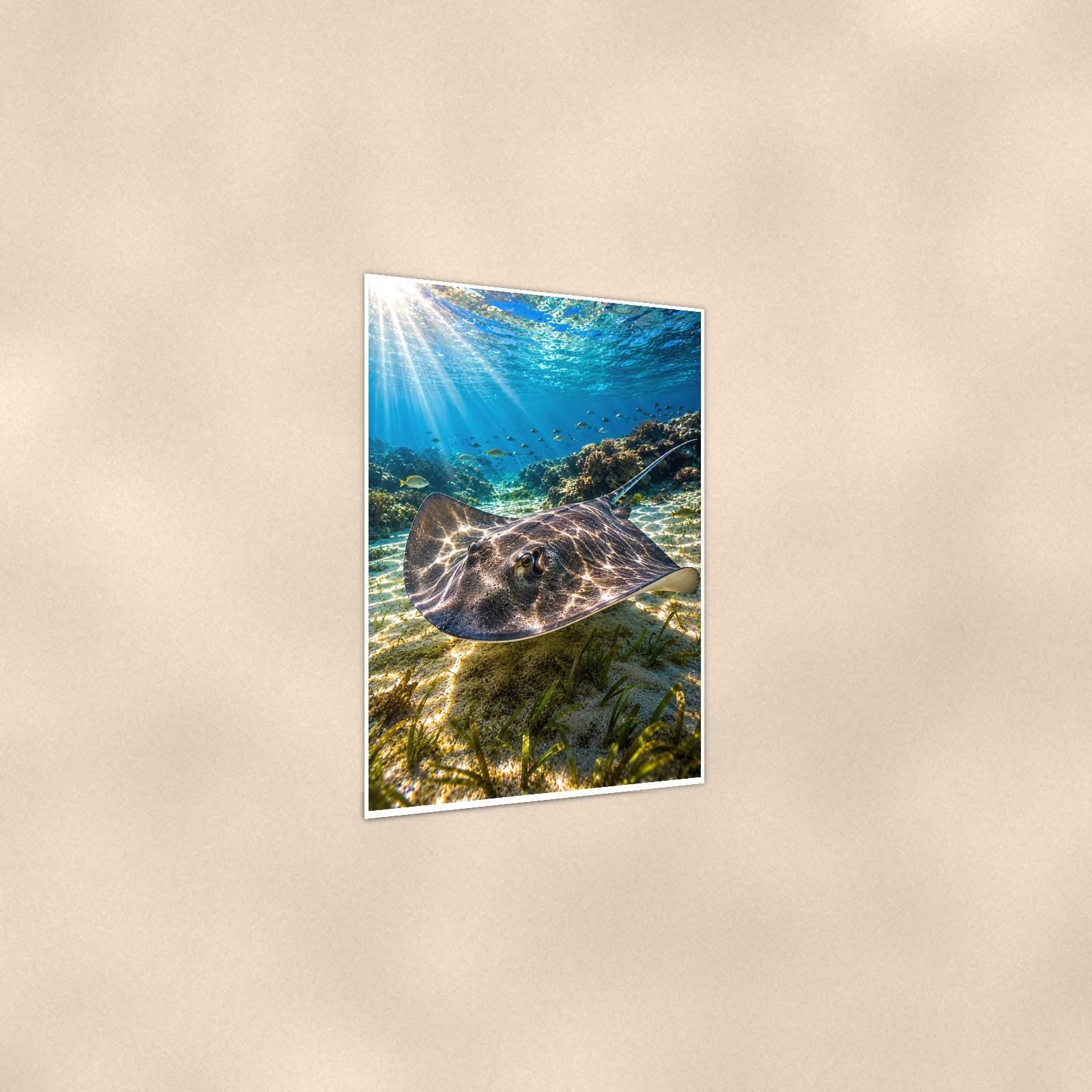 Sea Turtle Swimming — 24x36 in art print poster, premium luster paper with a white border; gentle three-quarter angle on a warm wall, showing the flat paper edge.