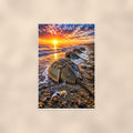 Horseshoe Crab on Sand — 24x36 in art print poster, premium luster paper with a white border; poster shown straight on against a warm wall.