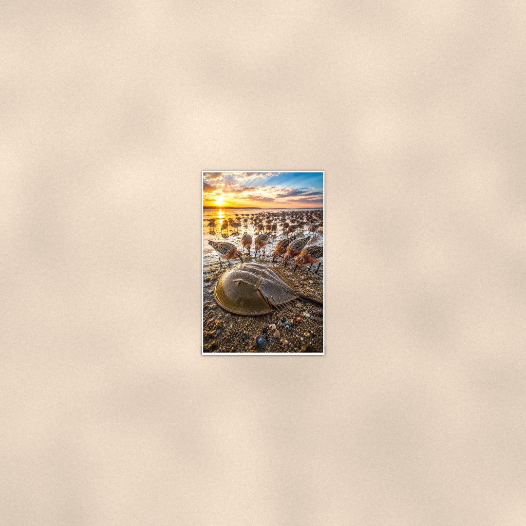Horseshoe Crab Pair — 24x36 in art print poster, premium luster paper with a white border; poster seen from further back, at true 24x36 in scale on a warm wall.