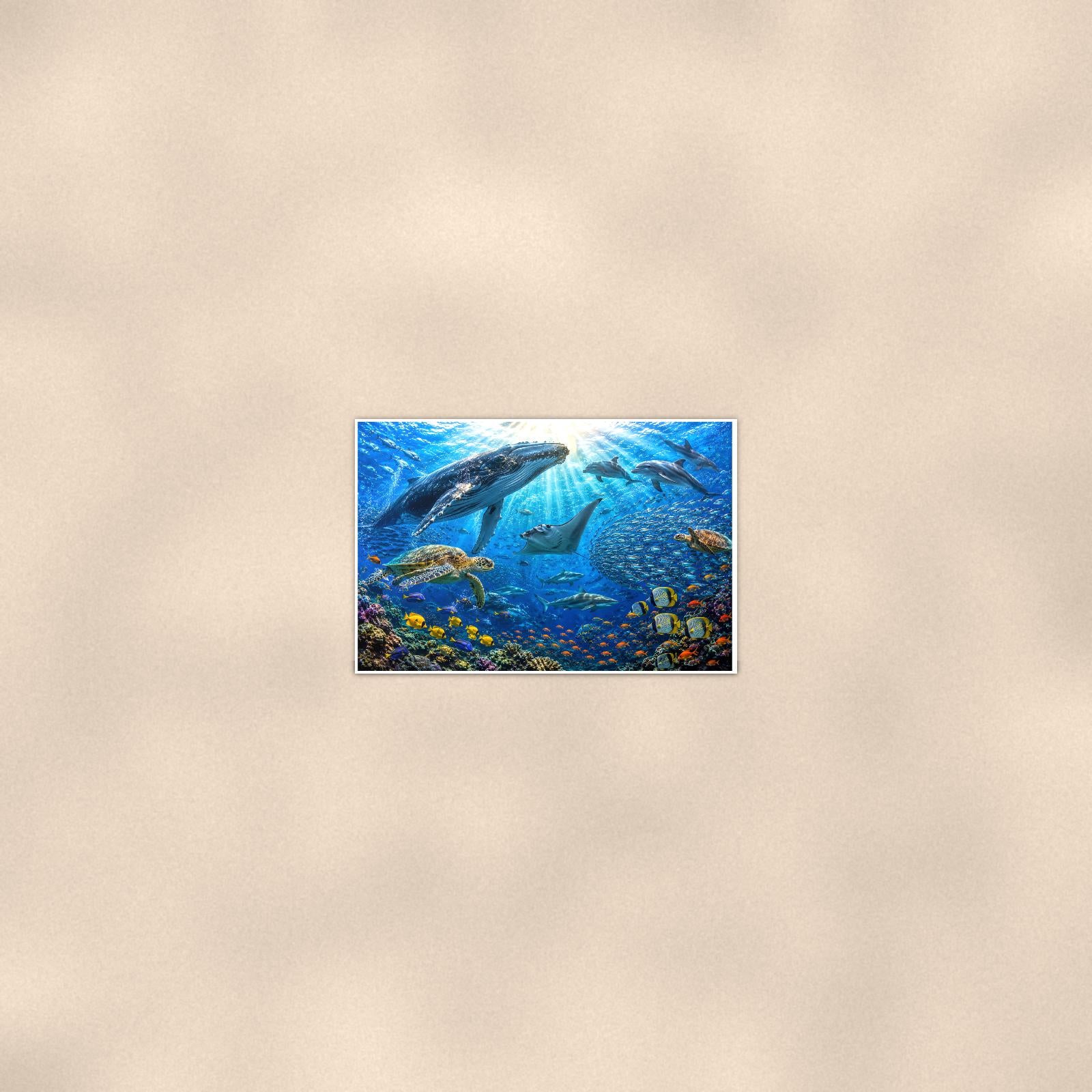 Dolphin Reef Scene — 36x24 in art print poster, premium luster paper with a white border; poster seen from further back, at true 24x36 in scale on a warm wall.